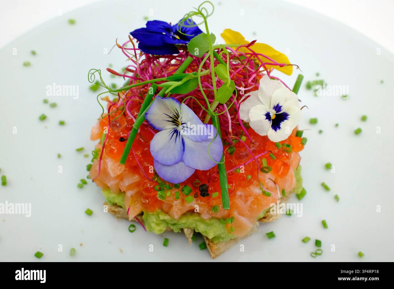 Un piatto gourmet di tartara di salmone e ikura su avocado, guarnito con microverdi, erba cipollina e fiori commestibili su un piatto bianco. Un piatto gourmet in stile asiatico Foto Stock