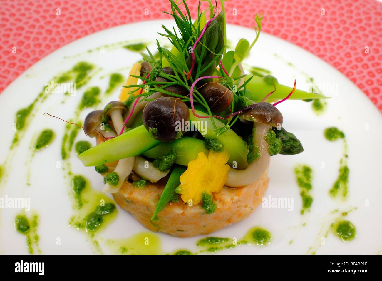 Un elegante tartara di salmone presenta una purea ricoperta di asparagi, funghi e germogli verdi, guarnita con una salsa verde e accenti gialli su un w Foto Stock