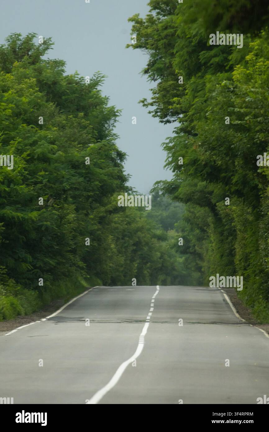 Un lungo viale ondulato con una linea centrale bianca netta si fa strada tra gli alberi estivi fitti. Il cielo grigio accenna a piogge mentre la prospettiva attira l'occhio oltre le canne Foto Stock