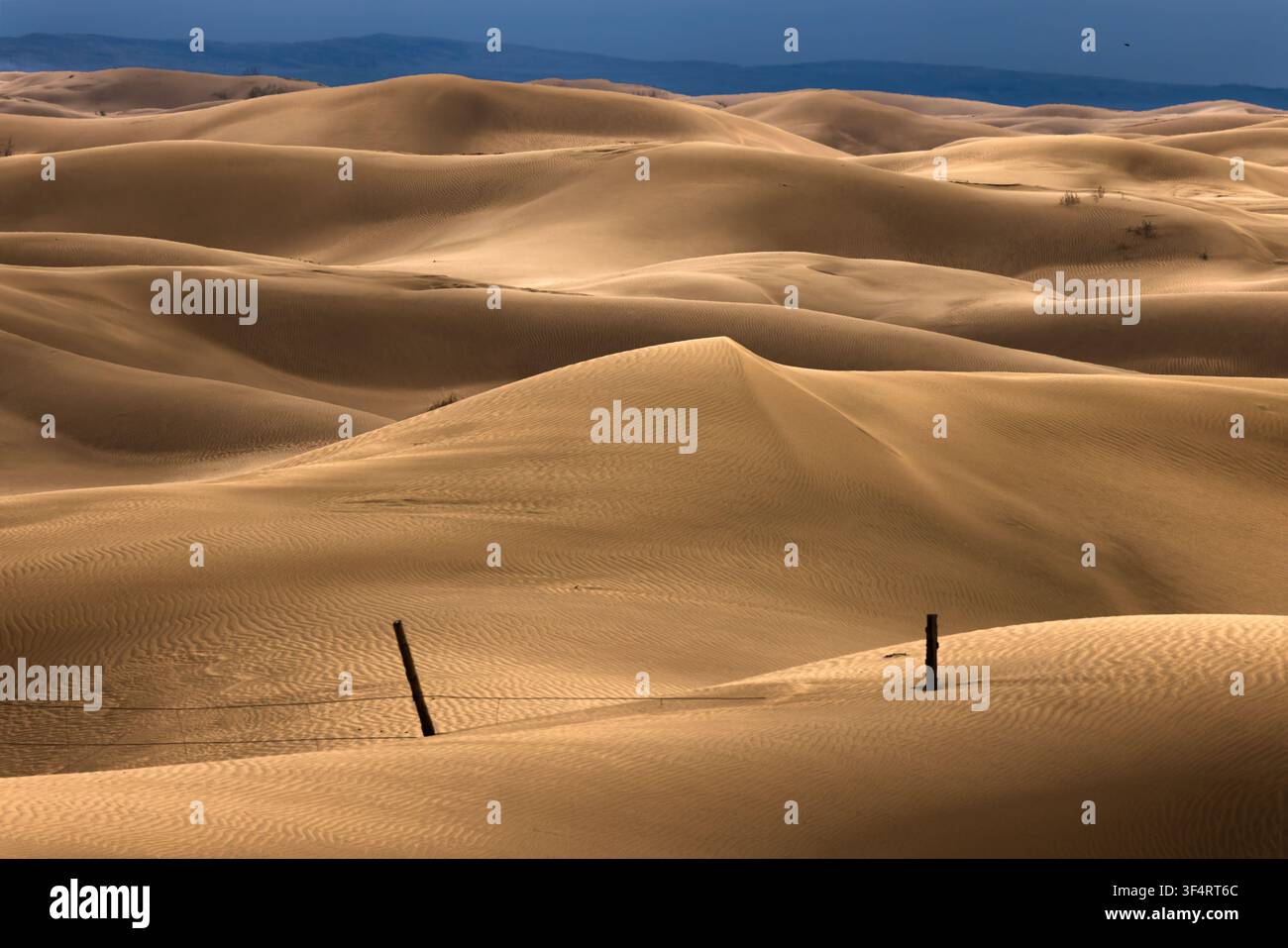 Vista aerea del vasto paesaggio desertico con dune di sabbia ondulate, motivi di sabbia strutturati e pali di recinzione in legno a Senek, regione di Mangystau, Kazakistan Foto Stock