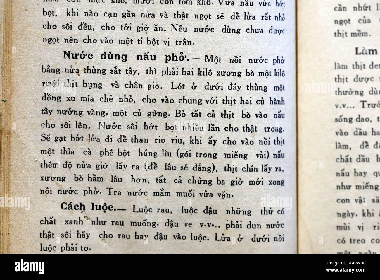 Estratto da un libro di cucina che descrive come preparare il brodo per il pho, un piatto vietnamita iconico. La ricetta spiega i passaggi e gli ingredienti necessari per ottenere Foto Stock