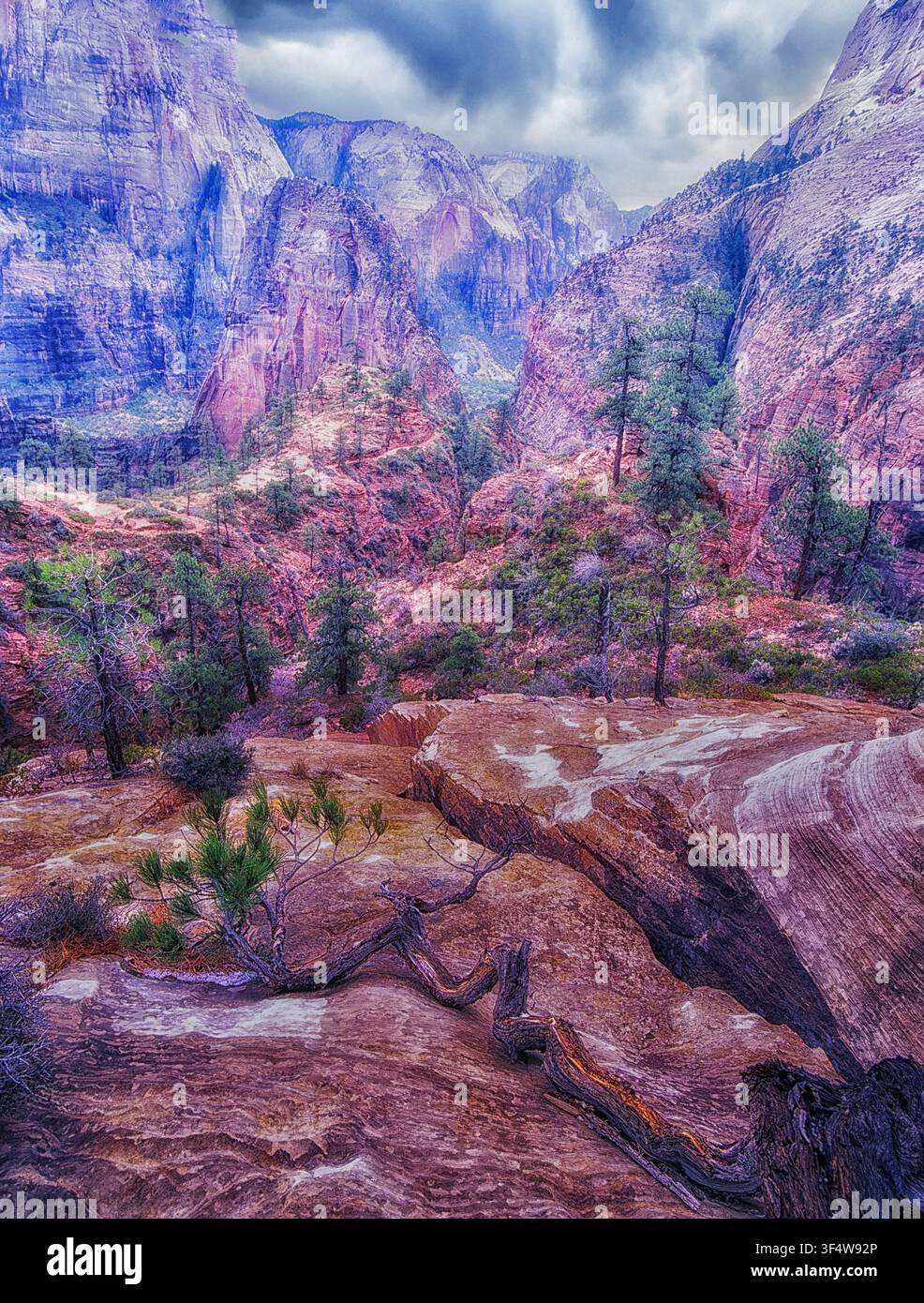 Vista del Parco Nazionale di Zion da Walter's Wiggles, Utah Foto Stock