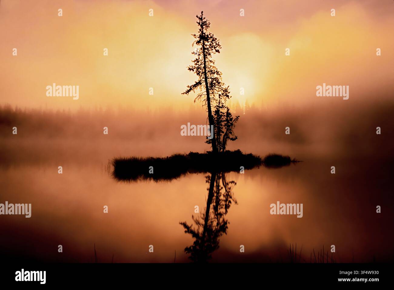 Alba e nebbia sul lago Scott, Three Sisters Wildrrness, Oregon Foto Stock