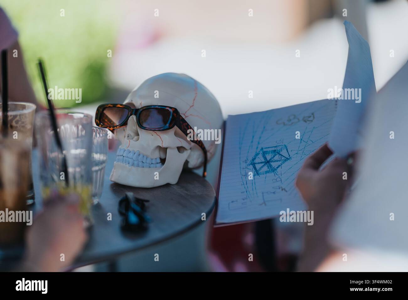 Modello di cranio con occhiali da sole su un tavolo accanto a un quaderno scolastico e schizzi Foto Stock