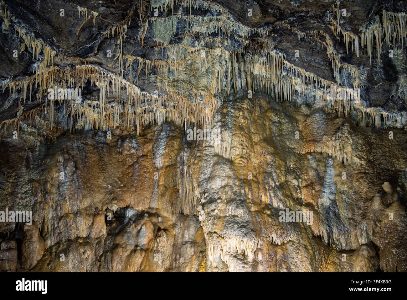 Migliaia di delicati stalattiti di paglia pendono sopra pareti di calcite scintillanti all'interno della famosa camera Fairyland della Treak Cliff Cavern, nel Derbyshire Foto Stock