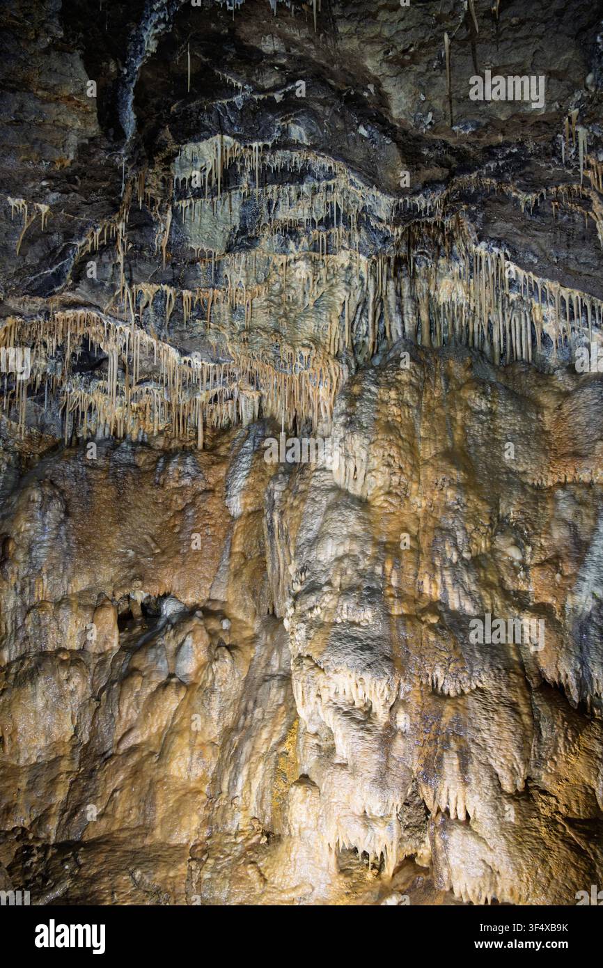 Una vista verticale rivela migliaia di delicati stalattiti di paglia e pareti di calcite a cascata all'interno della camera delle Fate della grotta di Treak Cliff Foto Stock