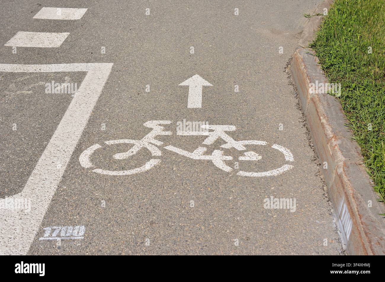 Pista ciclabile con simbolo di bicicletta dipinto e freccia su strada asfaltata Foto Stock
