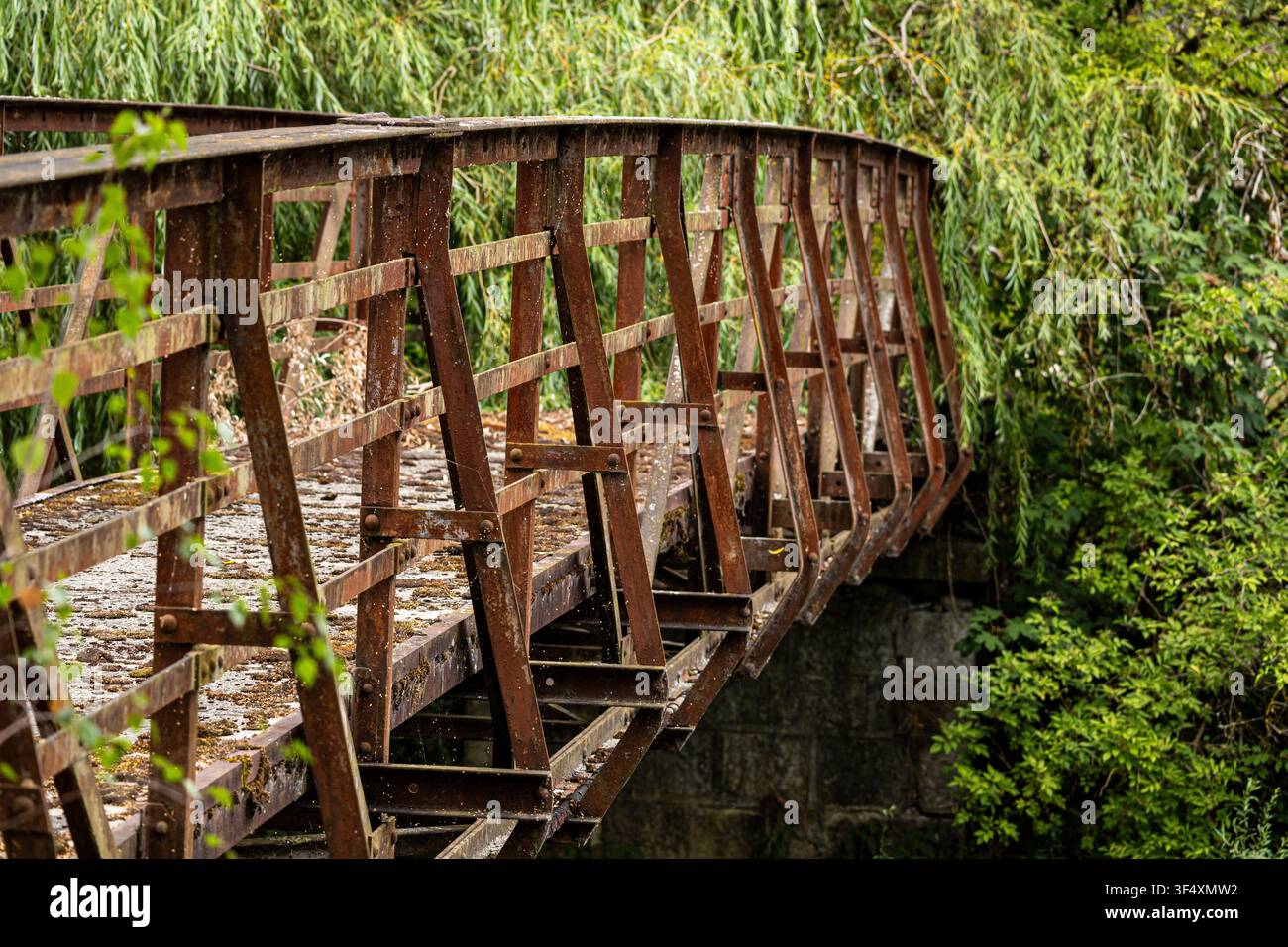 Ponte pedonale in acciaio arrugginito circondata da vegetazione verde in un ambiente naturale tranquillo in Svizzera. Foto Stock