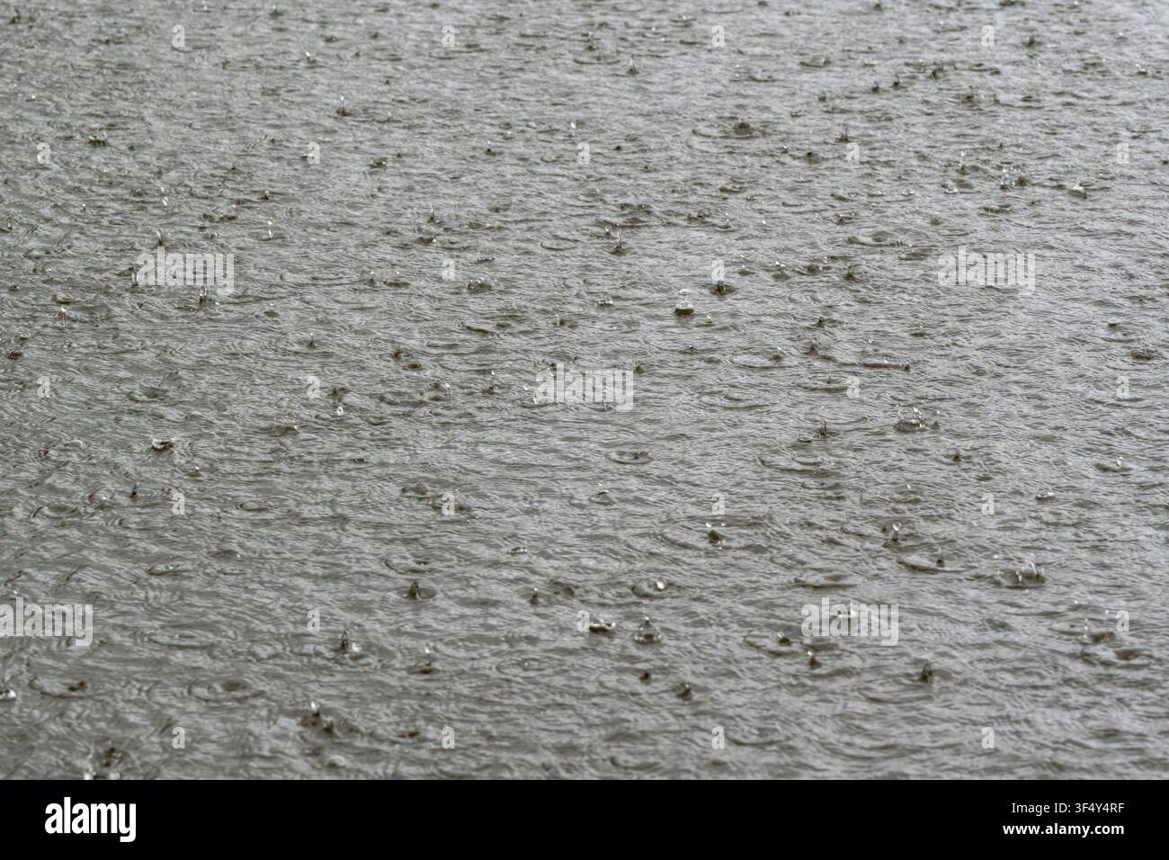 pioggia intensa che cade su una grande massa d'acqua Foto Stock