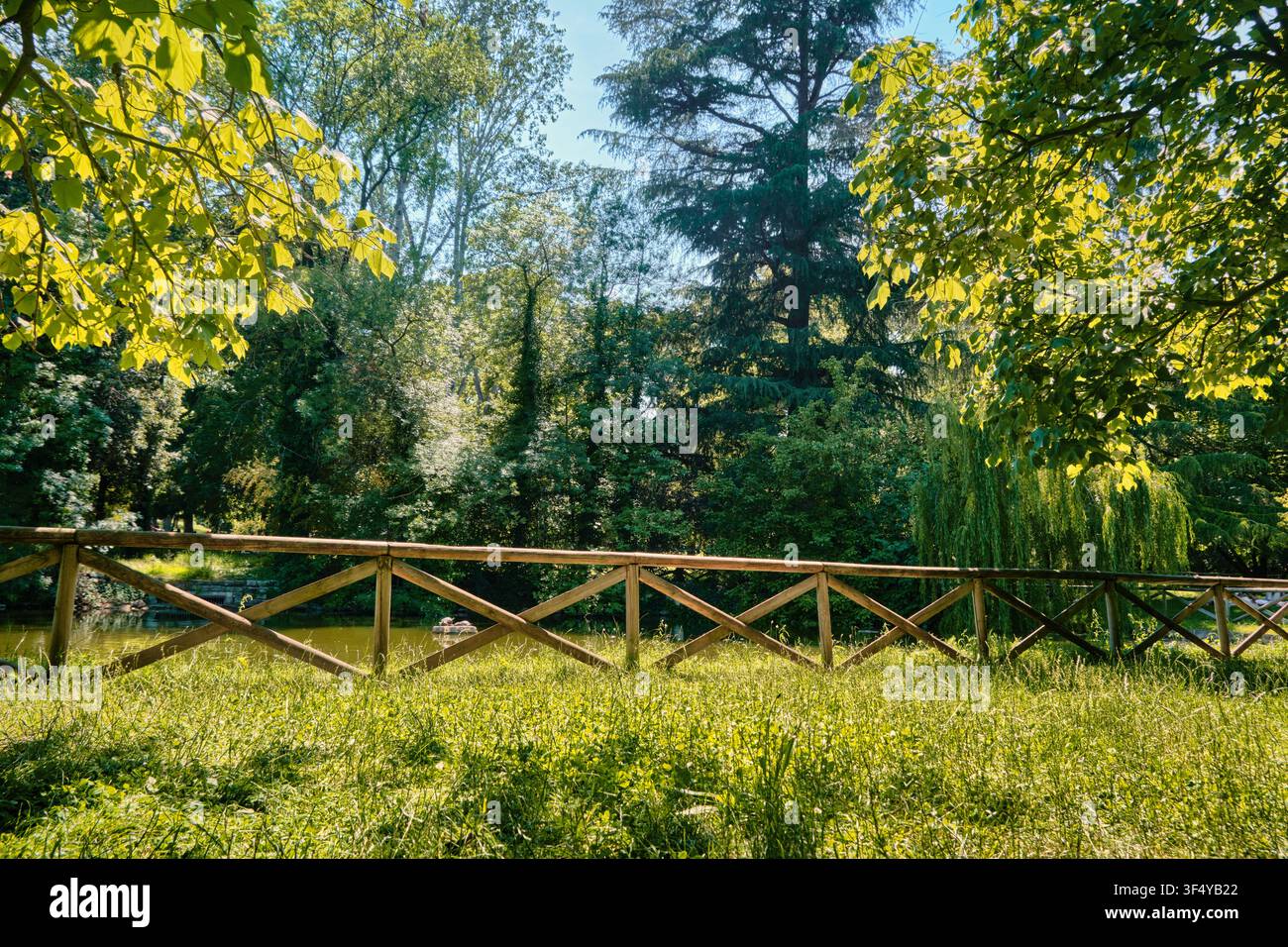 Bologna, Italia - Maggio 2026: recinto in legno, stagno e alberi rigogliosi nel parco Giardini Margherita Foto Stock