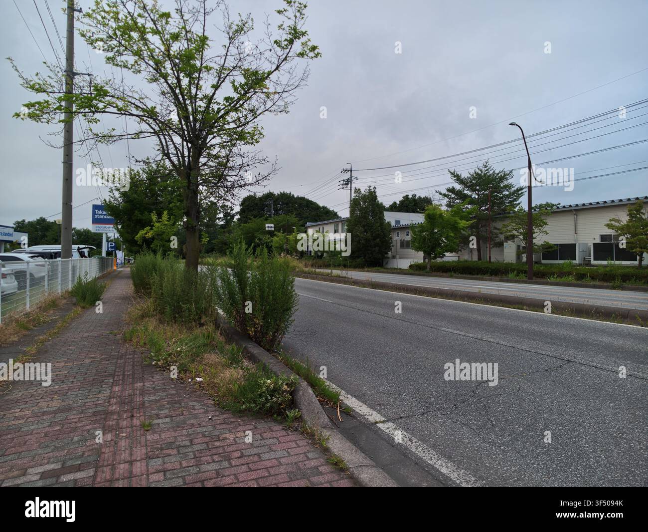 Cielo nuvoloso incombe su una strada rurale tranquilla. Il bordo di ghiaia delimita l'asfalto crepato accanto al marciapiede di mattoni. Alberi radi si ergono alti, rami oscillano dolcemente Foto Stock