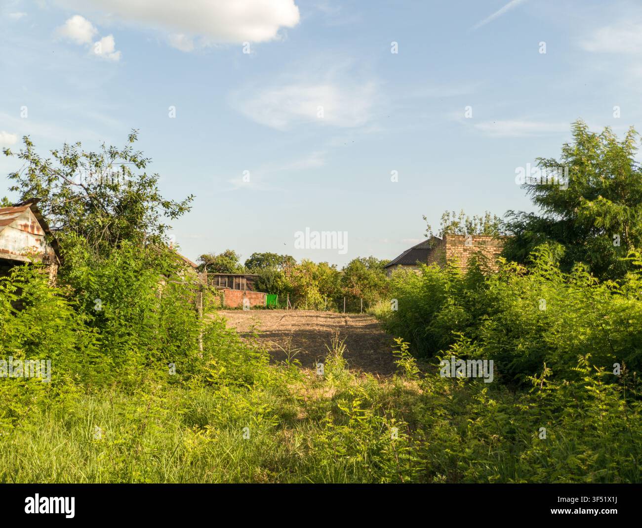 Ampia vista panoramica di un appezzamento di campagna aperto tra case rurali in un villaggio, paesaggio rurale scenografico con vegetazione rigogliosa sotto un cielo estivo Foto Stock
