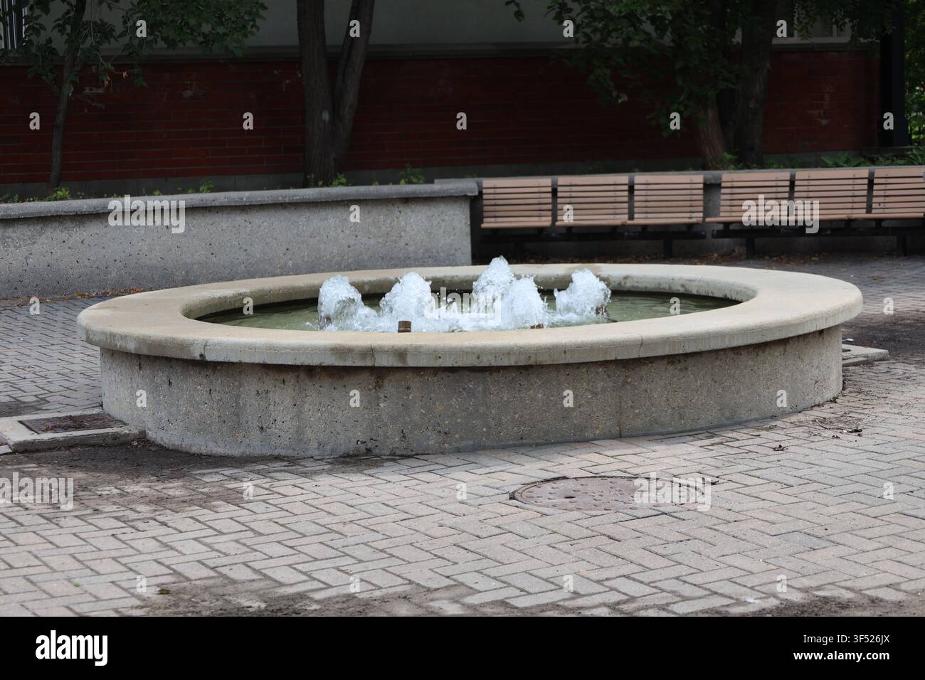 fontana circolare in cemento, cinque getti spray, patio lastricato, panchine Foto Stock