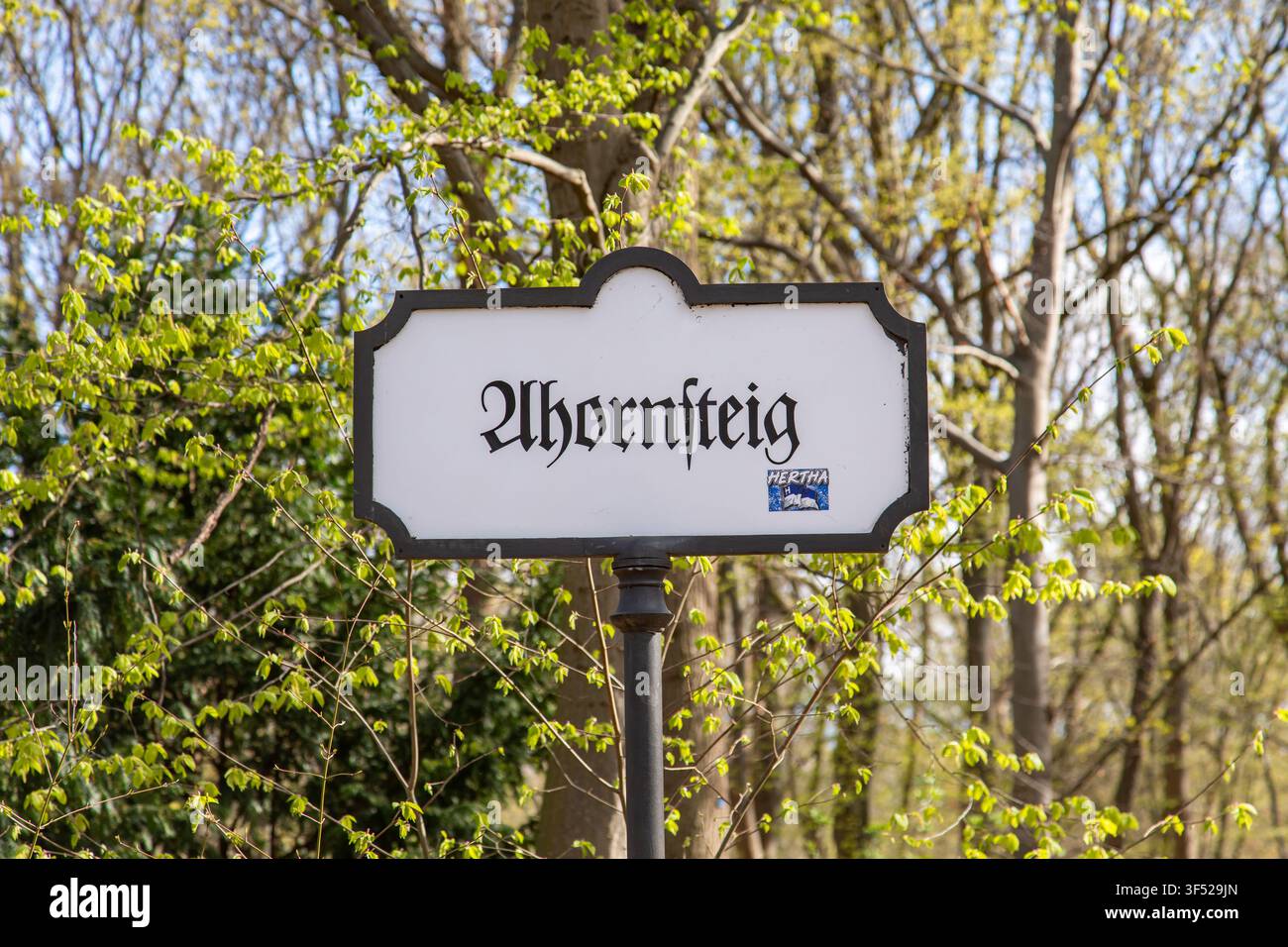 Segnale del parco Ahornsteig nel Tiergarten di Berlino, con caratteri Fraktur tradizionali, Germania Foto Stock