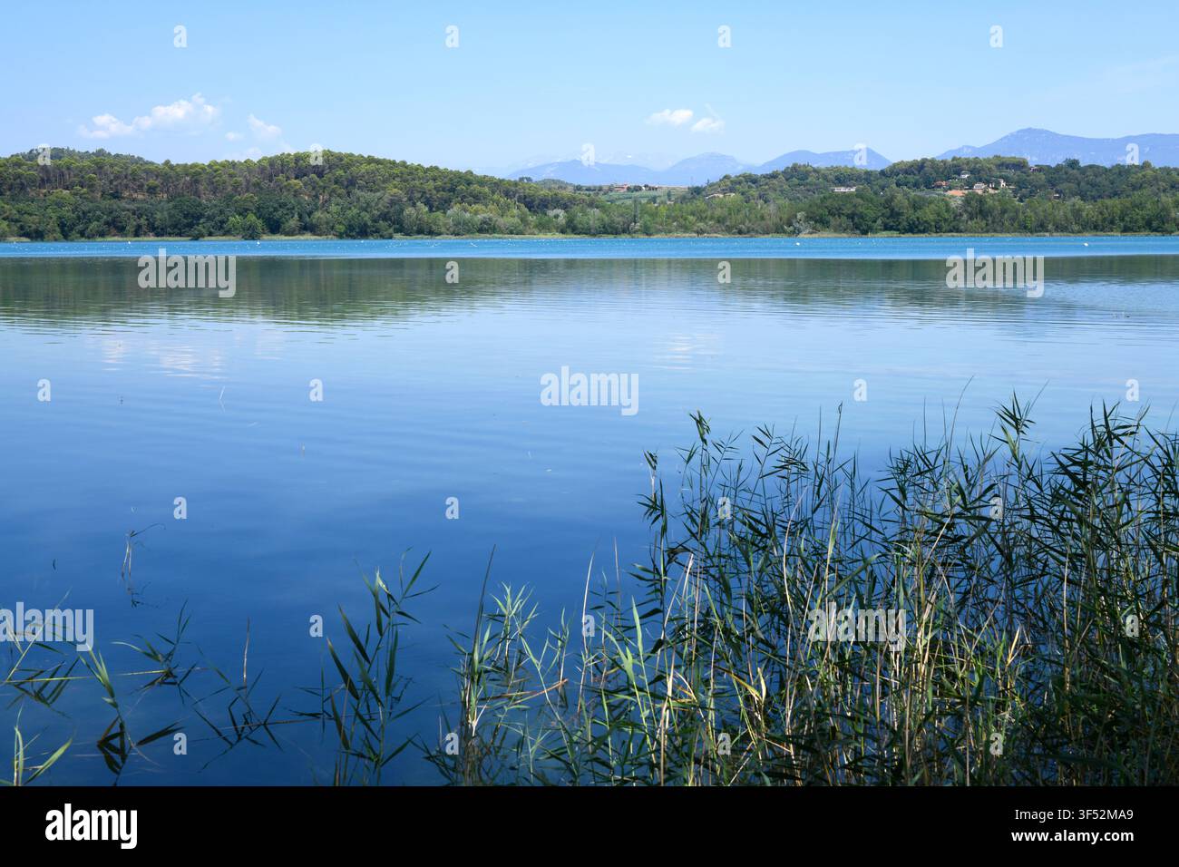 Estany de Banyoles (lago di Banyoles o Bañolas), lago di origine carsica e tettonica. Comune di Banyoles, Pla de l'Estany, Girona, Catalogna, Spagna. Foto Stock