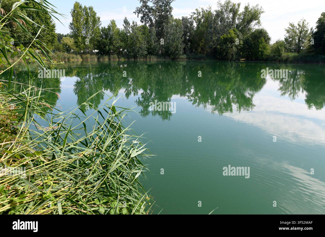 L'Estanyol, Estany de Banyoles (lago di Banyoles o Bañolas), lago di origine carsica e tettonica. Comune di Banyoles, Pla de l'Estany, Girona, Catalogna Foto Stock
