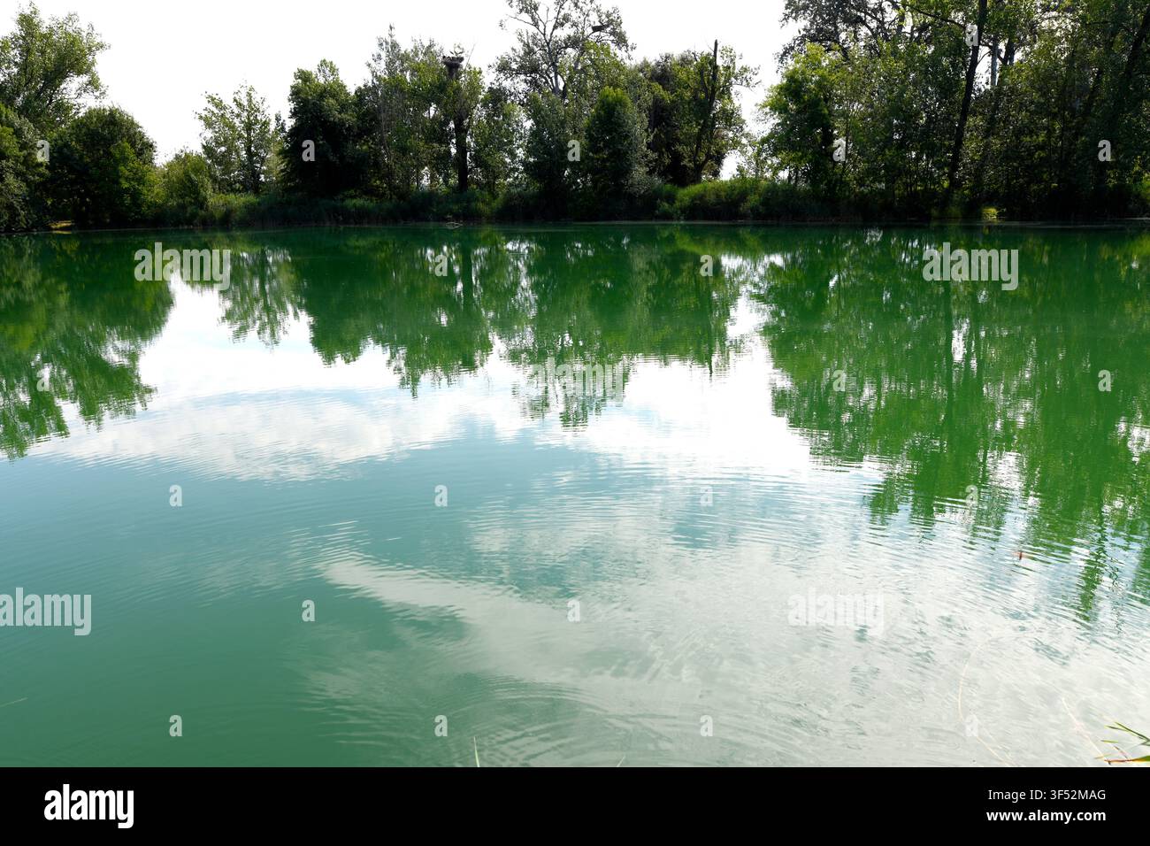 L'Estanyol, Estany de Banyoles (lago di Banyoles o Bañolas), lago di origine carsica e tettonica. Comune di Banyoles, Pla de l'Estany, Girona, Catalogna Foto Stock