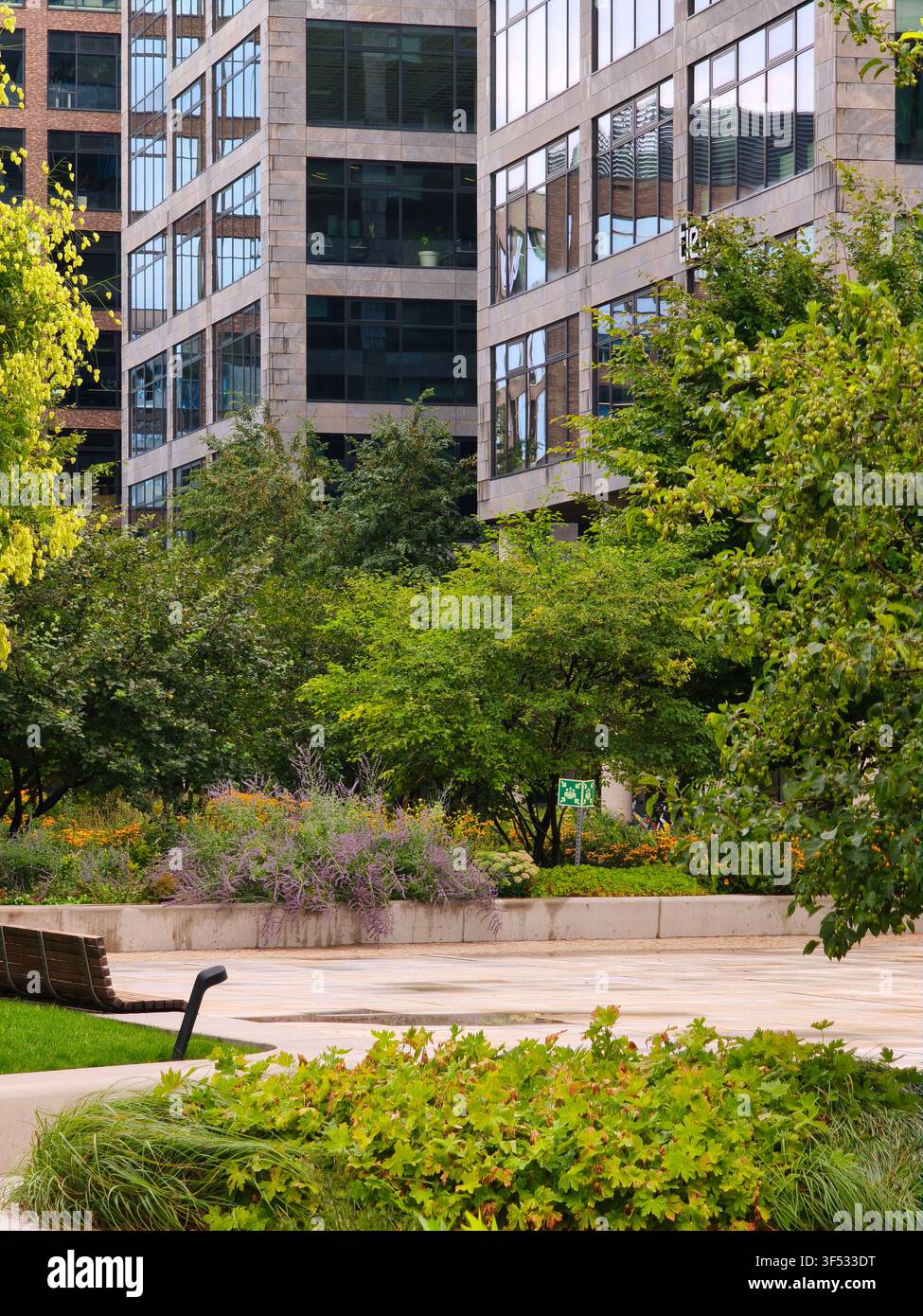 Facciata moderna di un complesso di edifici per uffici con finestre in vetro e uno spazio verde sostenibile urbano con alberi e fiori - Immagine stock catturata con smartphone