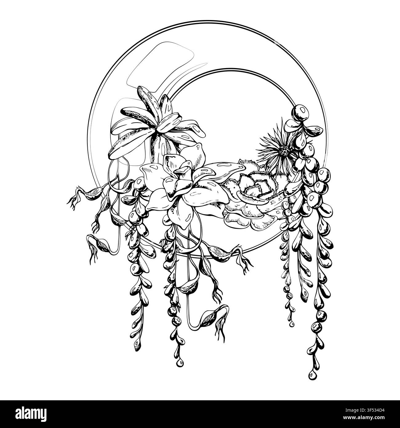Piante succulente a rosetta stratificate con viti tropicali a cascata in un terrario di vetro arrotondato. Illustrazione vettoriale a inchiostro disegnata a mano. Concetti di branding per lo yoga Illustrazione Vettoriale
