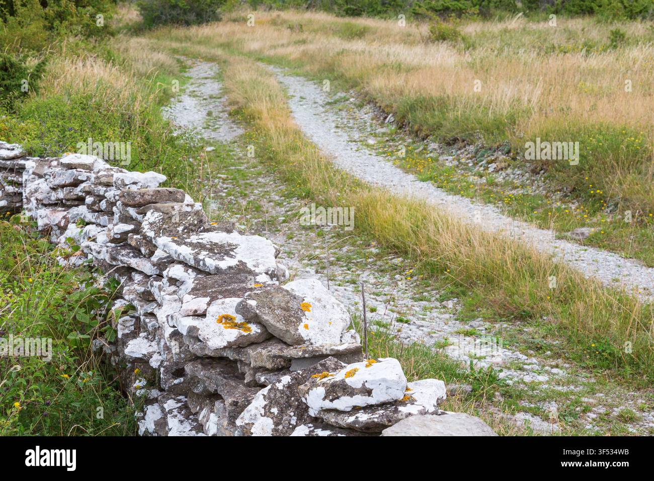 Strada con bordo erboso attraverso il prato Foto Stock