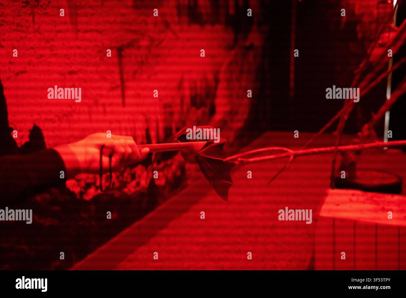 Mano che tiene un bastone e punge una foglia secca e un ramo sottile in un interno industriale grezzo illuminato di rosso con muro di mattoni, linee di scansione orizzontali e sporcizia pesante Foto Stock
