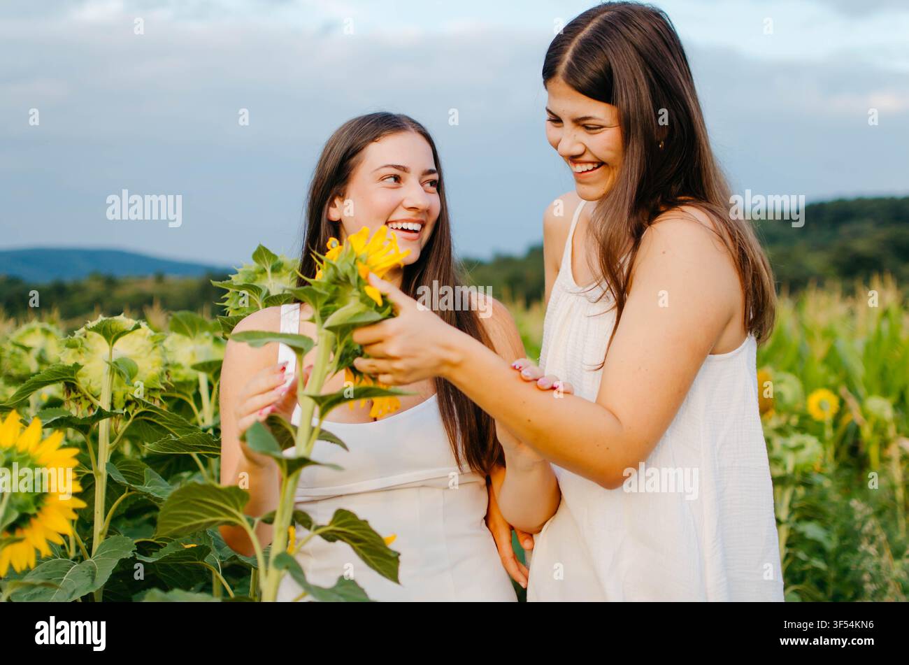Due belle giovani donne che si divertono in un girasole Foto Stock