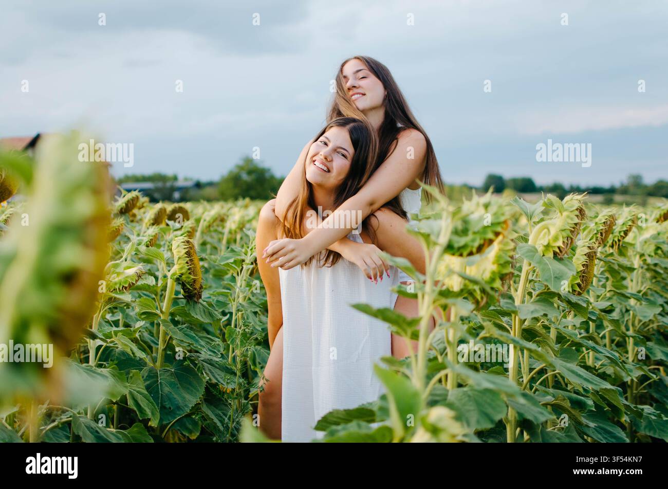 Due belle giovani donne che si divertono in un girasole Foto Stock