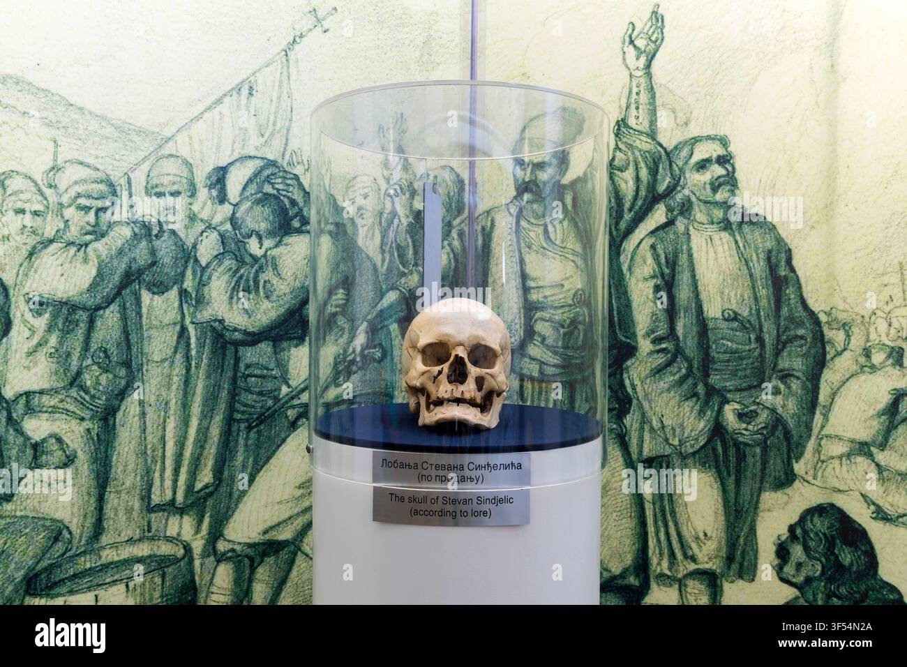 Il cranio del leader ribelle serbo Stevan Sindelic (1770-1809) morto nella battaglia di Cegar (1809) all'interno della Torre del Cranio a Niš, Serbia Foto Stock