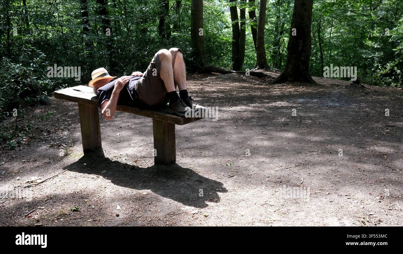 Panca di legno nel bosco con un uomo che si rilassa al sole Foto Stock