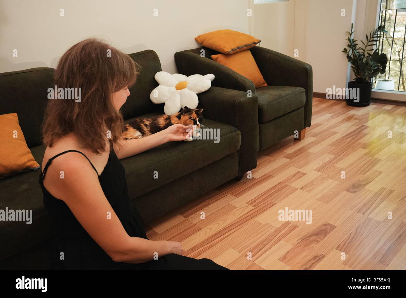 Donna che accarezza dolcemente un gatto calico a pelo lungo rilassato sdraiato su un divano in casa. Scena di vita domestica calda che riflette comfort, fiducia, compagnia e Foto Stock