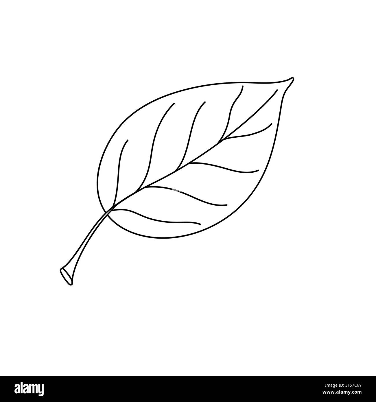 Foglia d'albero con venature dettagliate, illustrazione a contorno disegnata a mano, concetto di crescita primaverile fresca, foresta selvaggia lussureggiante, cambiamento del fogliame autunnale, natura eco, vita botanica, purezza ambientale Illustrazione Vettoriale