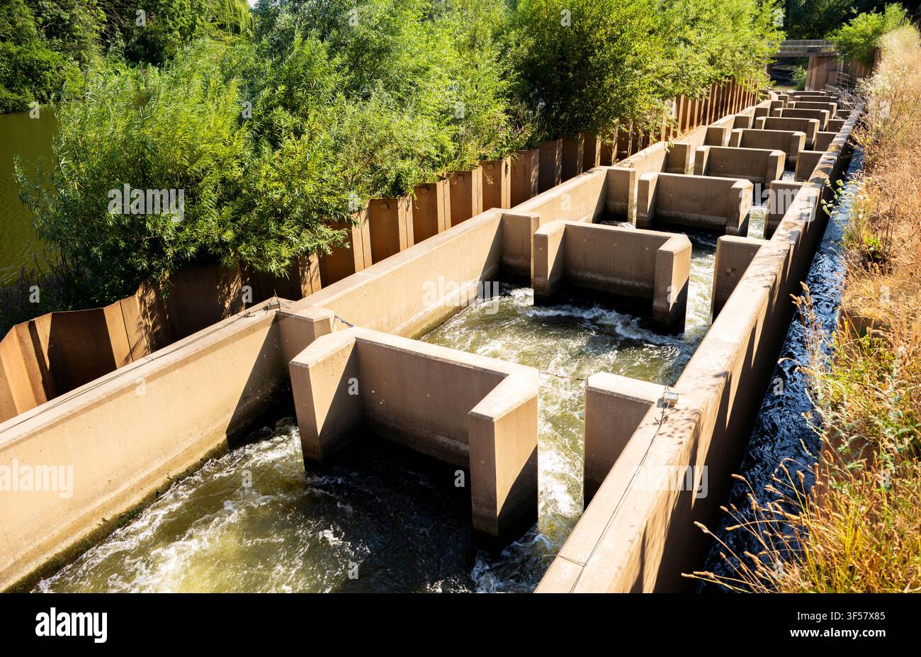 Una struttura ingegnosamente progettata che devia in sicurezza i pesci del fiume che passano accanto alla ripida e rapida diga di Diglis sul fiume Severn, riducendo la pendenza Foto Stock