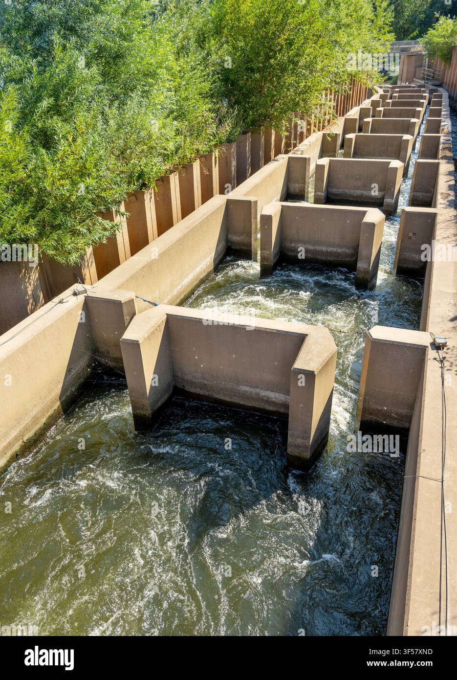 Una struttura ingegnosamente progettata che devia in sicurezza i pesci del fiume che passano accanto alla ripida e rapida diga di Diglis sul fiume Severn, riducendo la pendenza Foto Stock
