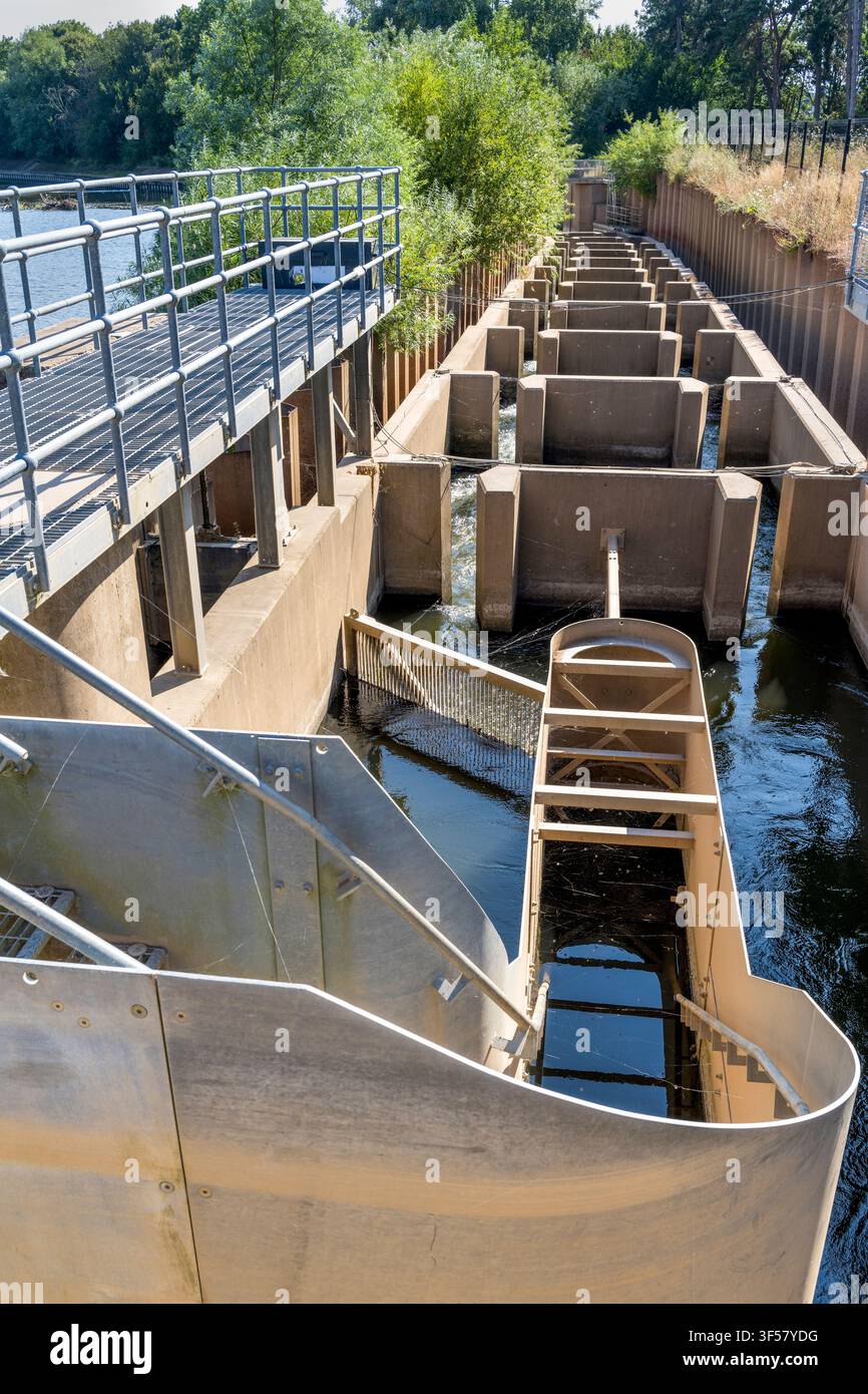 Una struttura ingegnosamente progettata che devia in sicurezza i pesci del fiume che passano accanto alla ripida e rapida diga di Diglis sul fiume Severn, riducendo la pendenza Foto Stock