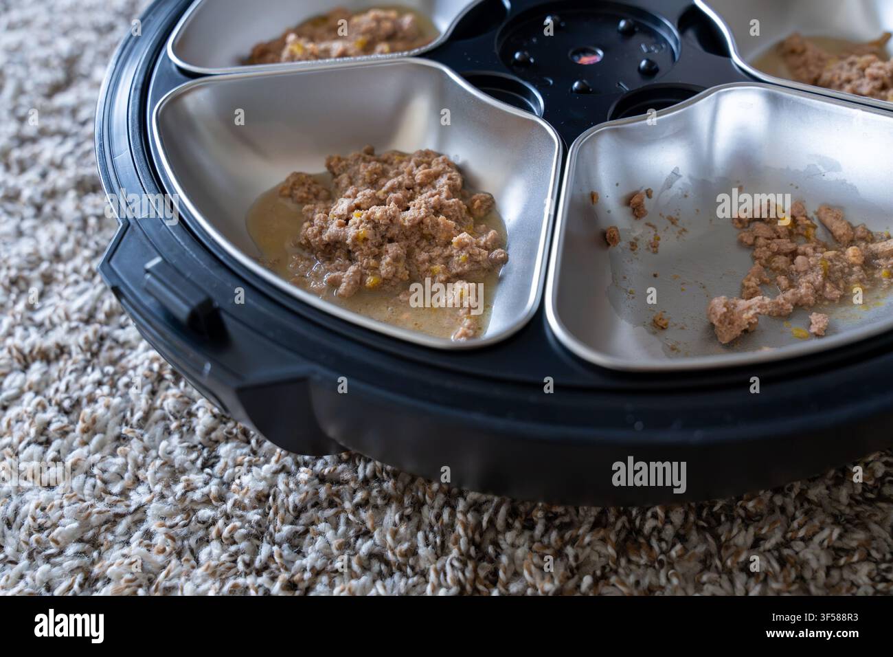 Distributore automatico di cibo per animali con più ciotole in acciaio inossidabile piene di cibo umido per animali. Concetto di cura intelligente degli animali, alimentazione programmata e nutrizione degli animali Foto Stock