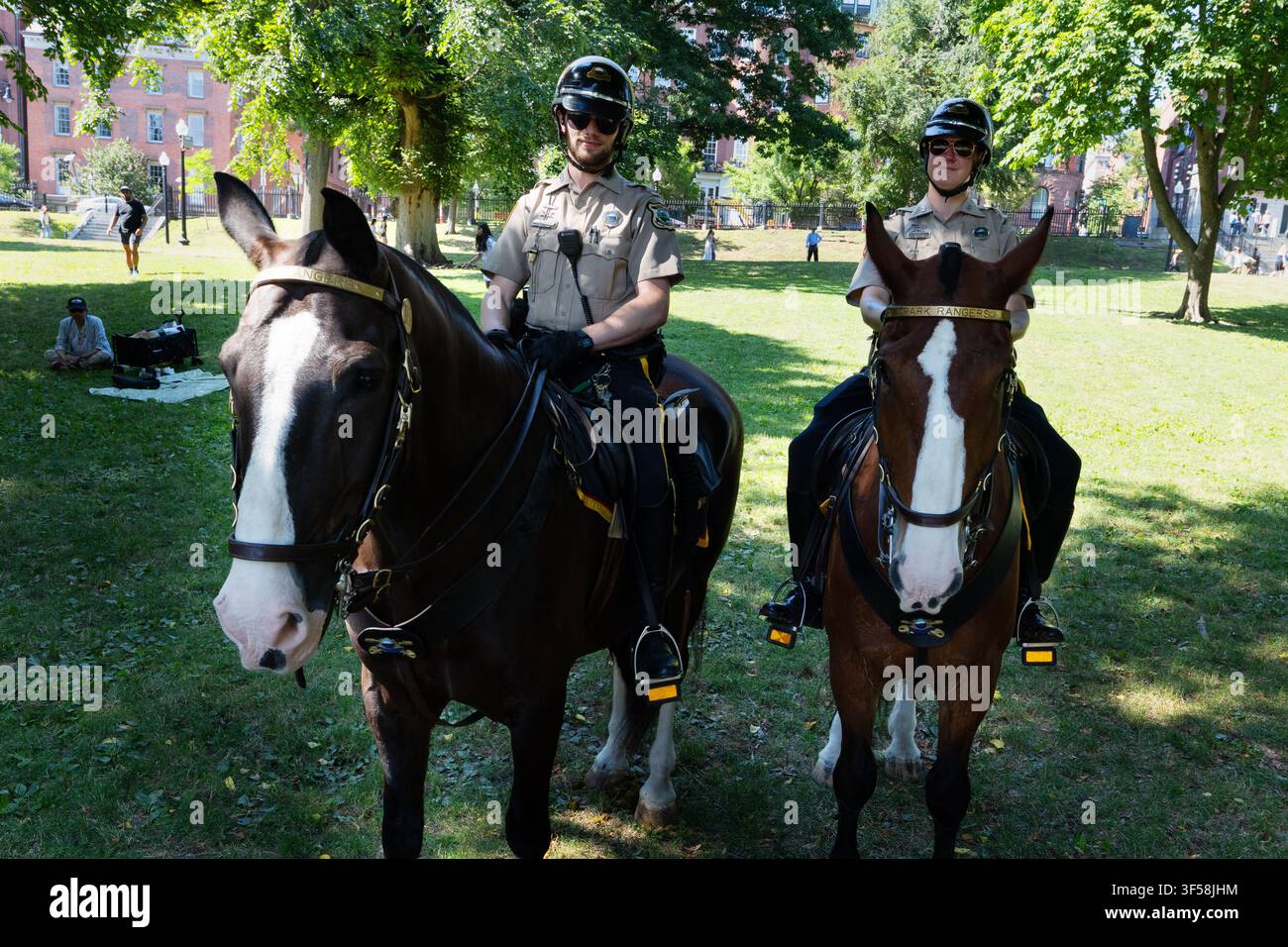 Ranger a cavallo posano con i loro cavalli su Boston Common a Boston, Massachusetts. Foto Stock