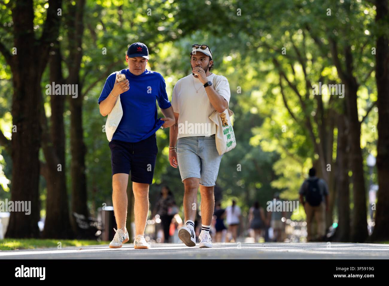 Due donne camminano sotto alberi maturi nel Boston Public Garden, Boston, Massachusetts. Foto Stock