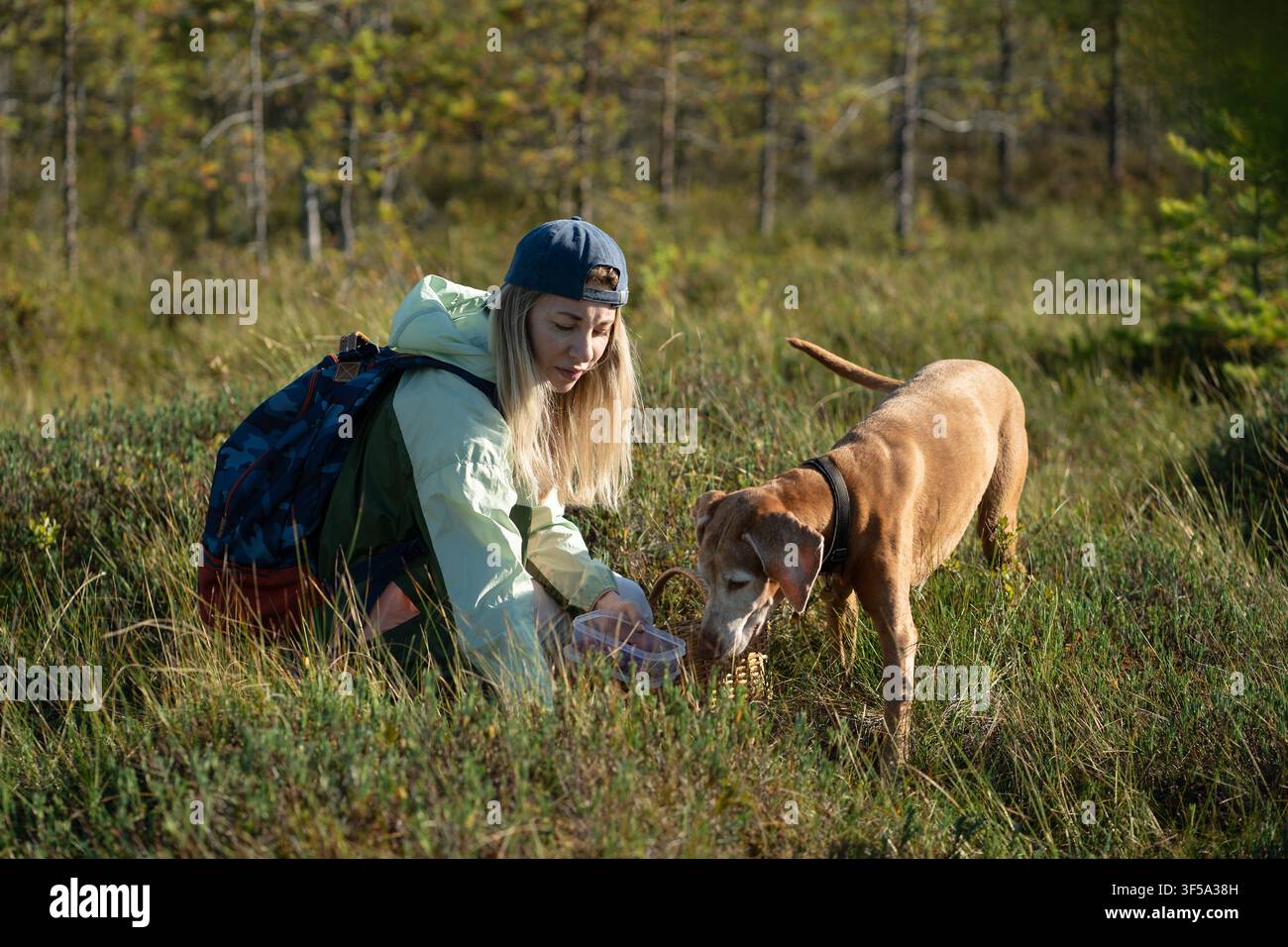 Donna allegra con cane che raccoglie bacche e erbe selvatiche nella palude della foresta selvaggia. Foto Stock