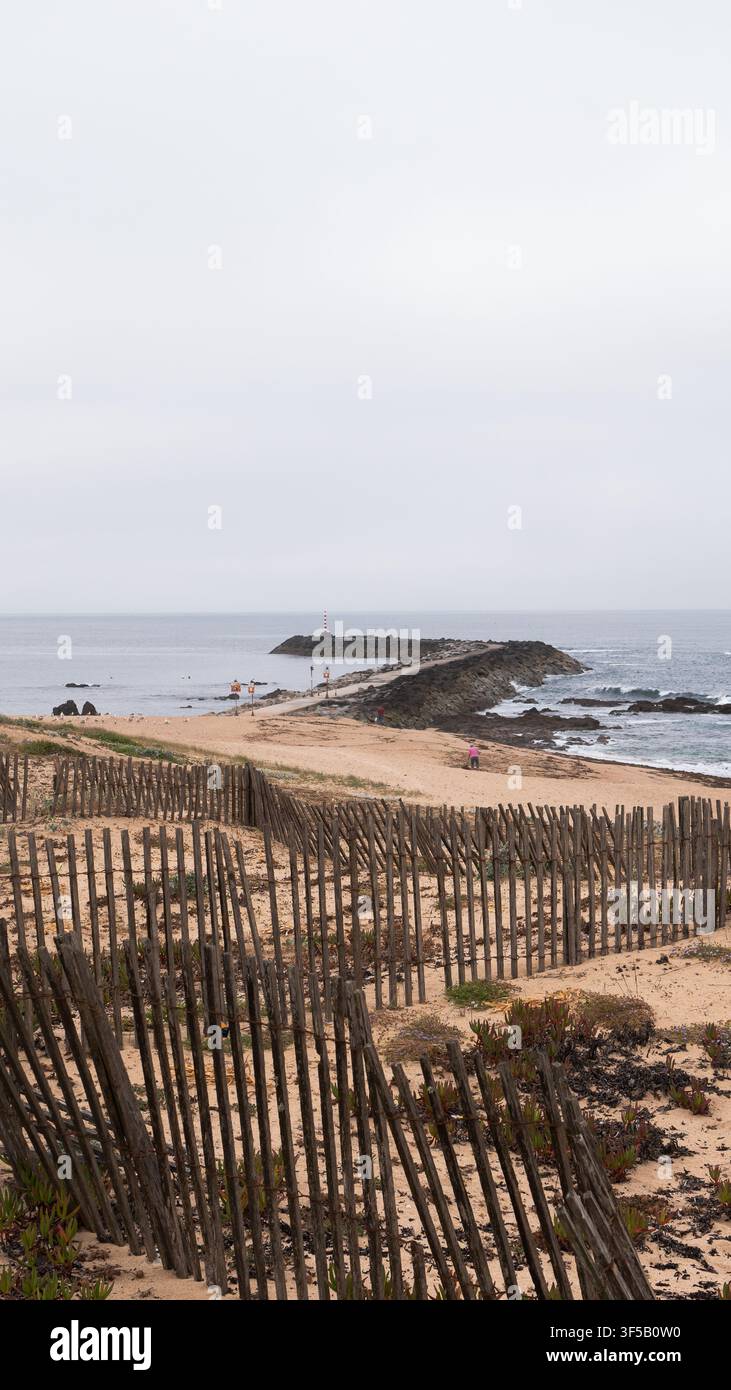 Recinzione in legno eroso delle dune e vegetazione dunale sopra una spiaggia con frangiflutti roccioso e faro sotto un cielo nuvoloso, costa atlantica, Portogallo Foto Stock