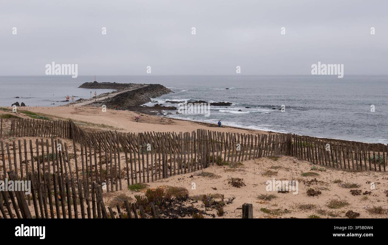 Recinzione in legno eroso delle dune e vegetazione dunale sopra una spiaggia con frangiflutti roccioso e faro sotto un cielo nuvoloso, costa atlantica, Portogallo Foto Stock