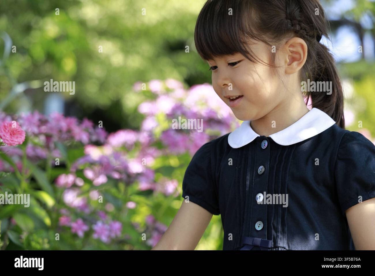 Ragazza giapponese e rose rosa (5 anni) Foto Stock