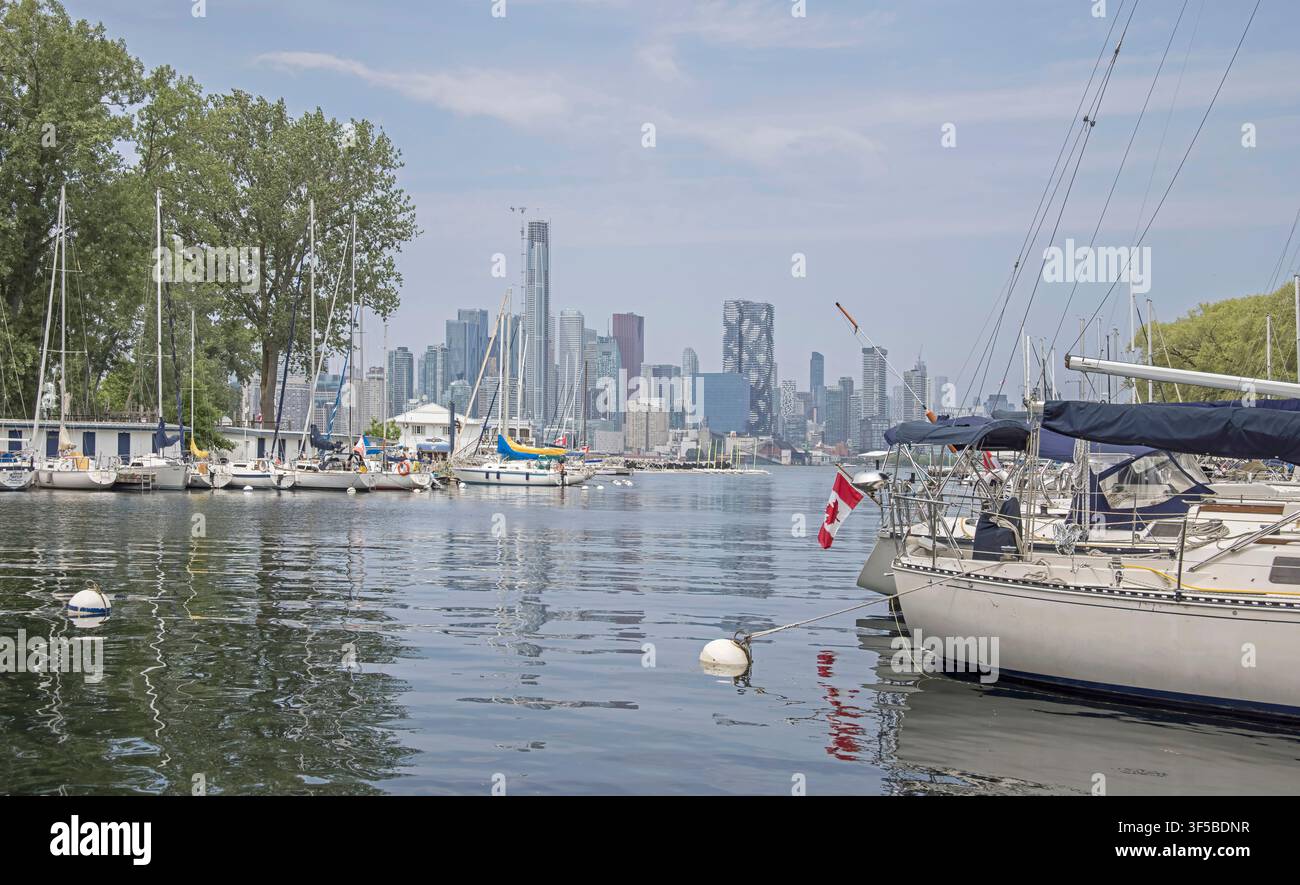 Una vista dello skyline di Toronto dall'isola di Toronto, Toronto, Ontario, Canada Foto Stock
