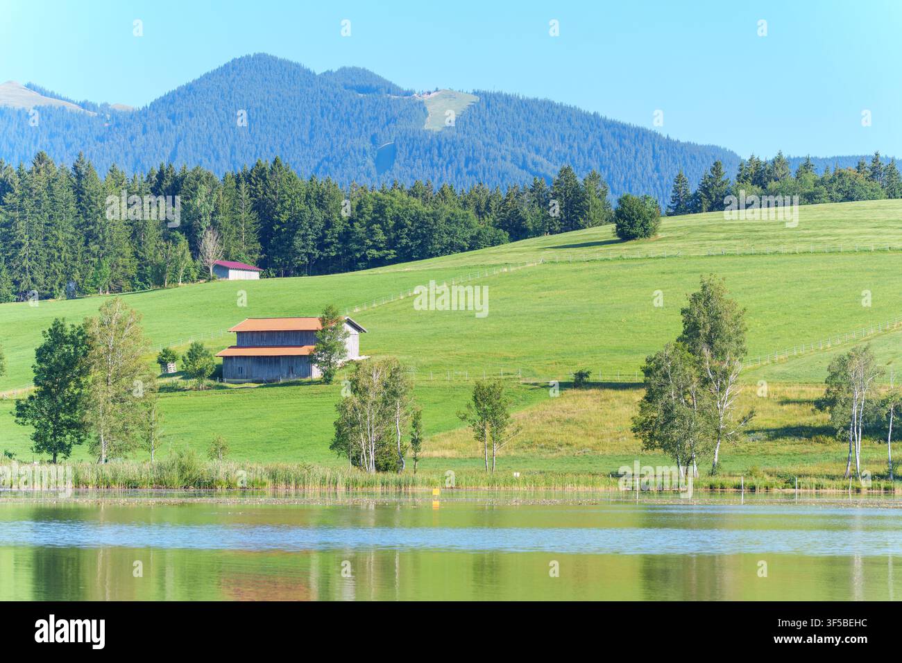 Paesaggio bavarese pittoresco a Bad Bayersoien, Germania, con un lago tranquillo che riflette prati verdi e ondulati, un fienile tradizionale in legno e per Foto Stock