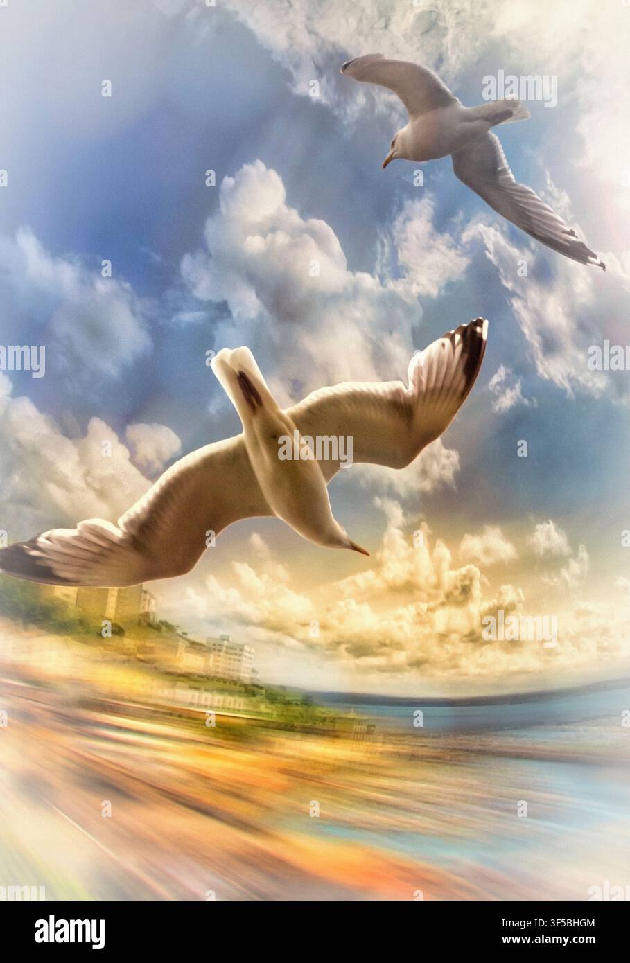 ARTE FOTOGRAFICA: In Volo (sopra Torbay, Devonshire, Regno Unito) Foto Stock