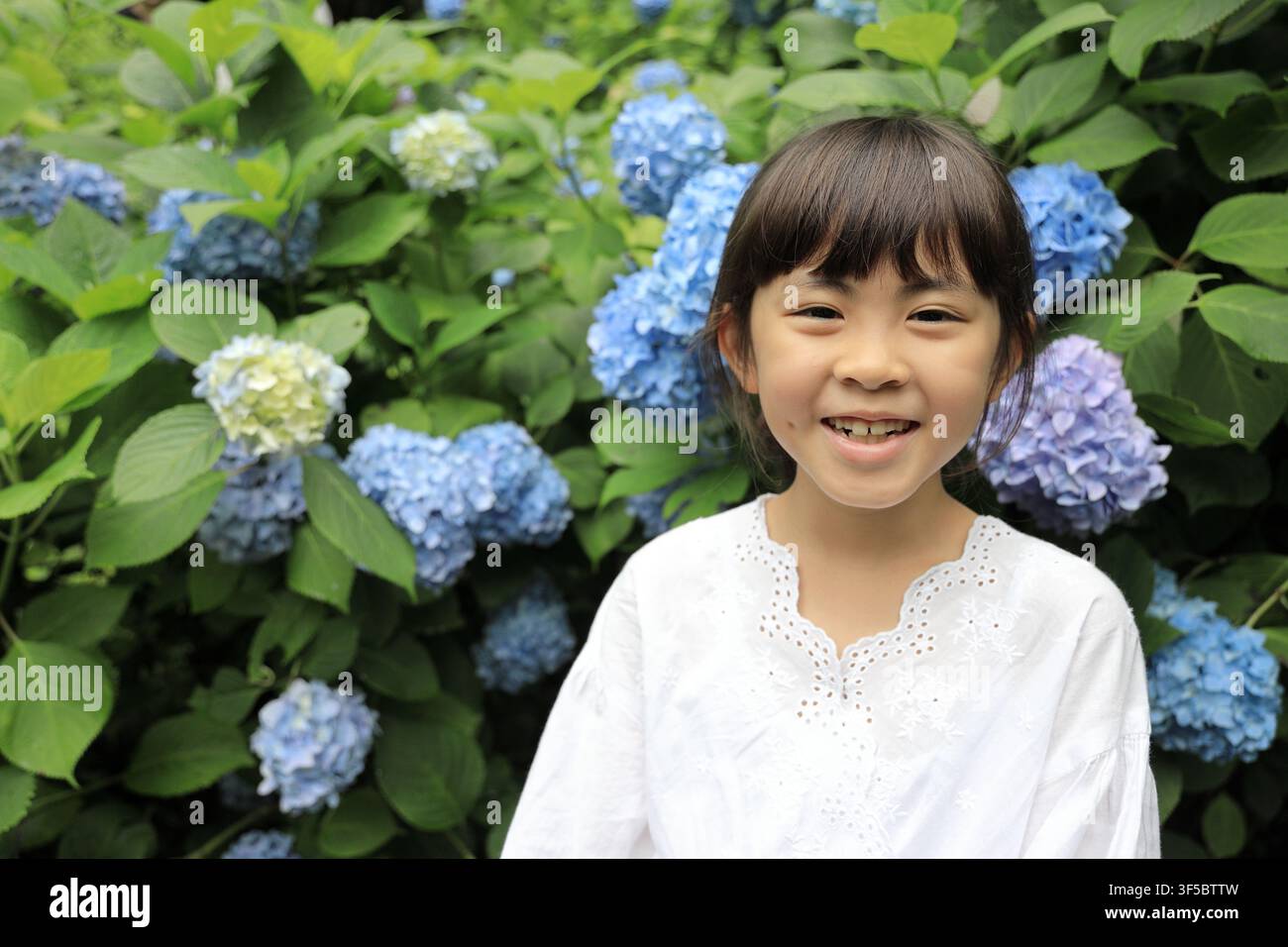 Ragazza giapponese e ortensia (8 anni) Foto Stock