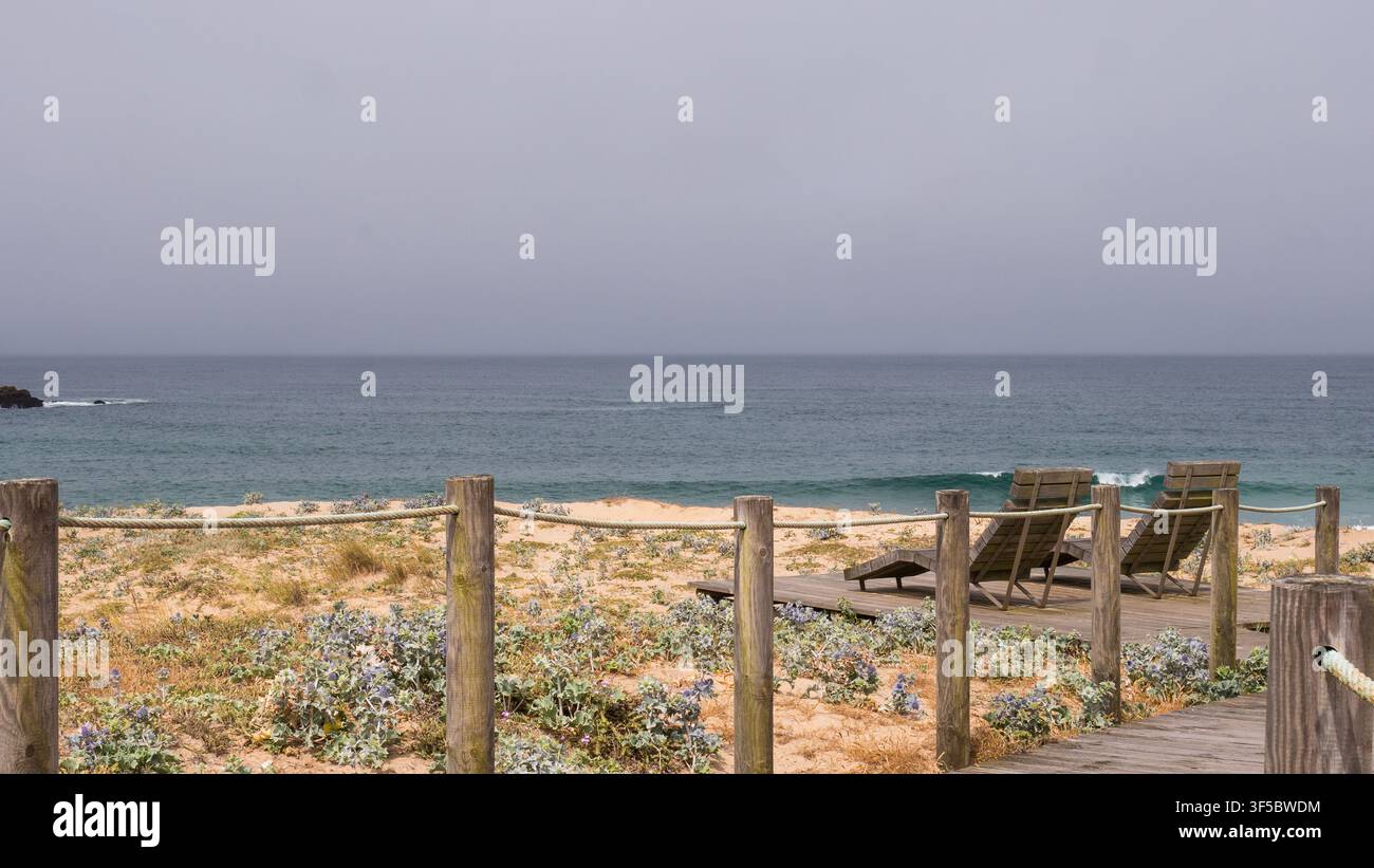 Passeggiata in legno vuota e sdraio sopra una duna di cardo marittimo (Eryngium maritimum) su una spiaggia atlantica nuvolosa del nord del Portogallo Foto Stock