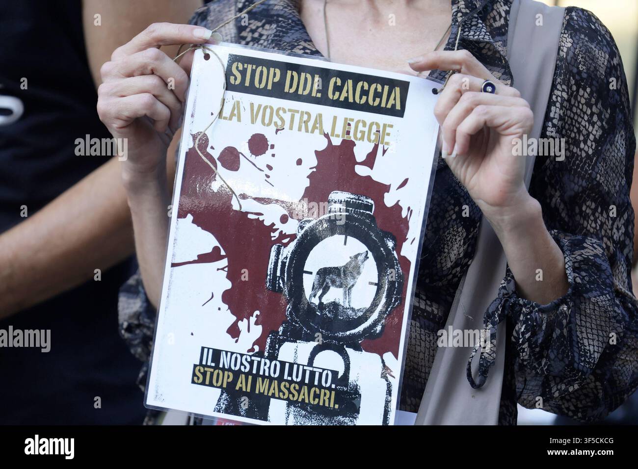 Roma, Italia. 01 agosto, 2026. Protesa contro la proposta di legge per la caccia firmata dal ministro Pichetto Fratin - Sabato 01 Agosto 2026 - Roma-Italia -(foto di Cecilia Fabiano/ Credit: LaPresse/Alamy Live News Foto Stock