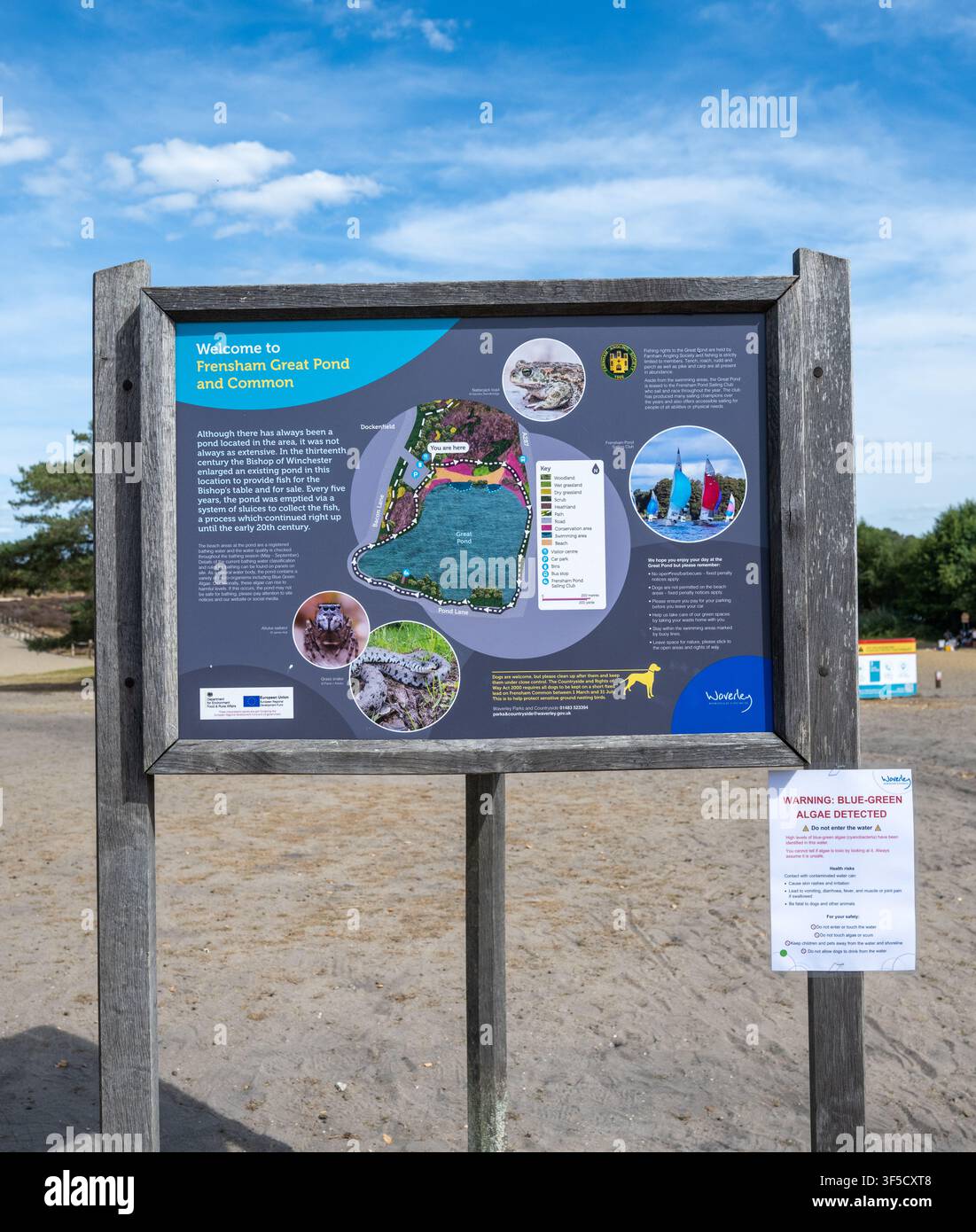 FARNHAM, UK – 01 AGOSTO 2026: Una mappa del sito e una tavola informativa del Waverley Borough Council mostrano un avviso di allarme che informa il pubblico della presenza di cianobatteri tossici nel Frensham Great Pond. Credit: Lu-Photography / Alamy Live News Foto Stock