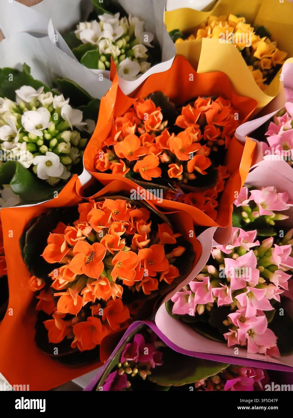Una vista dall'alto di vari bouquet di fiori colorati splendidamente disposti e avvolti su uno stand del mercato dei fiori - Immagine stock catturata con smartphone