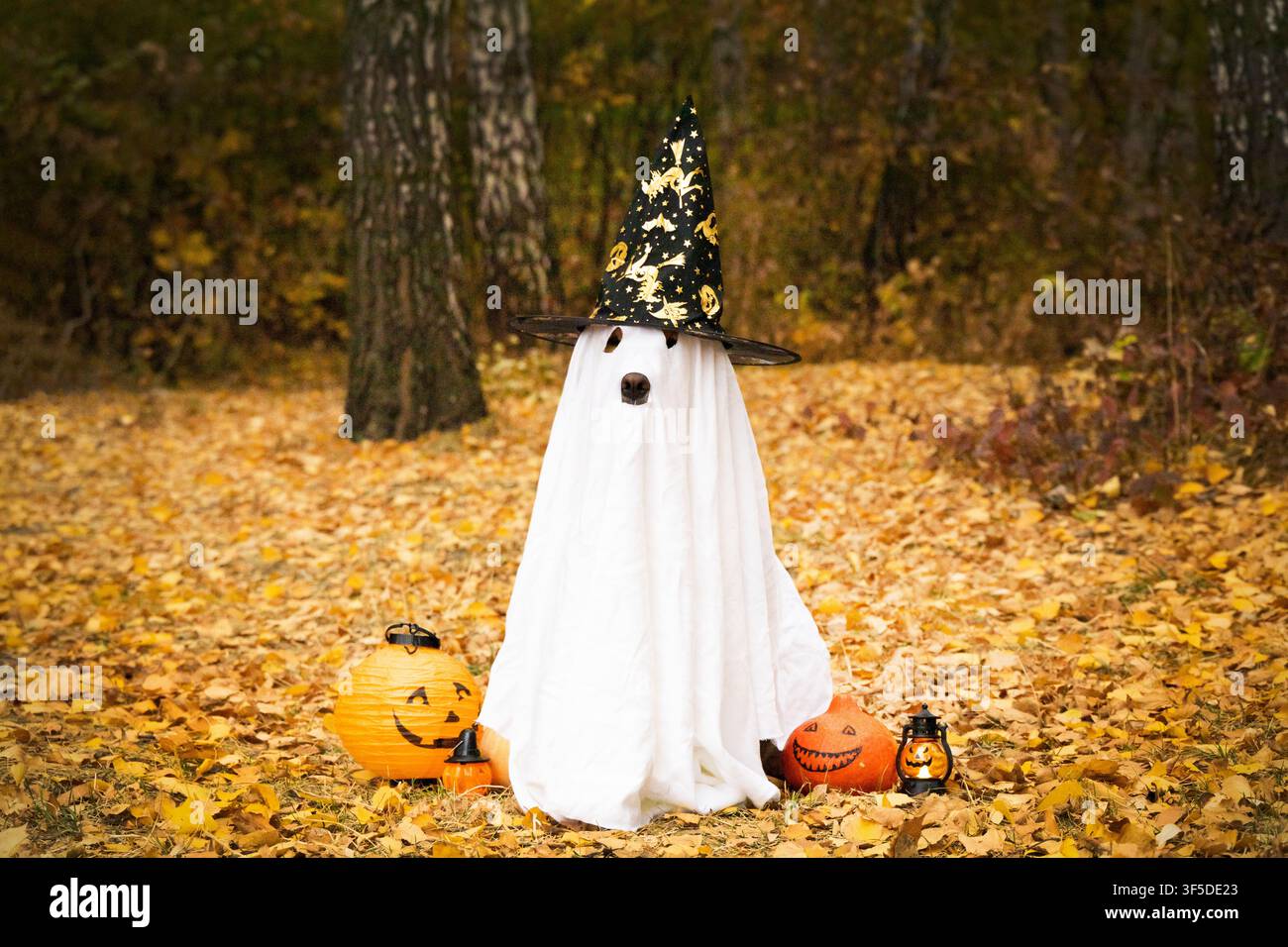 Cane con costume da fantasma, con un cappello nero da strega. Foto accanto a zucche e una lanterna Foto Stock